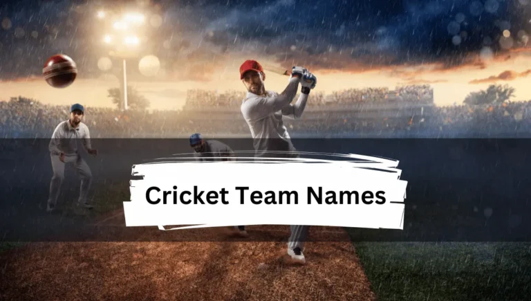 450+Best Cricket Team Names to Inspire Your Squad