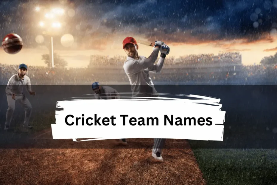 450+Best Cricket Team Names to Inspire Your Squad